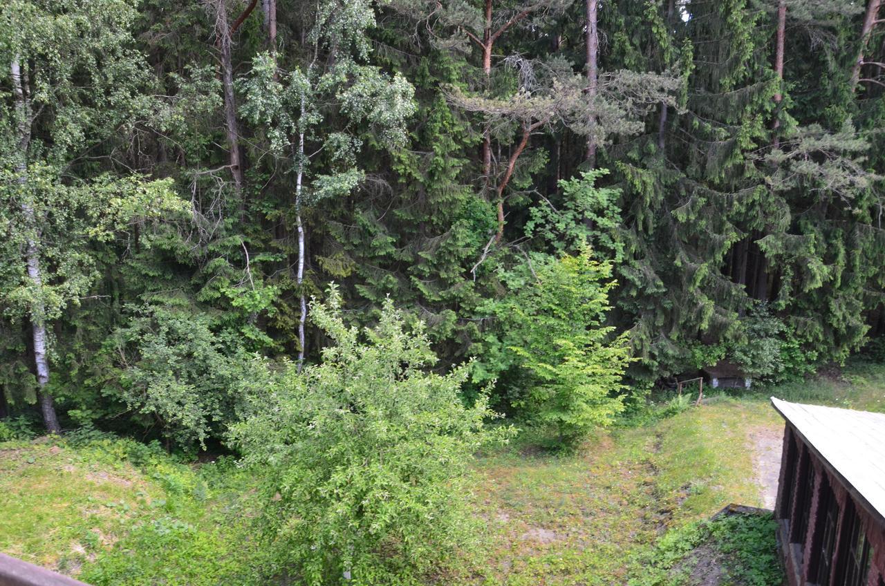 Zajazd Lesny Czarna Bialostocka Dış mekan fotoğraf